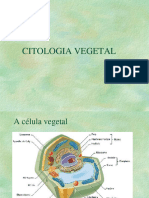 Citologia Vegetal