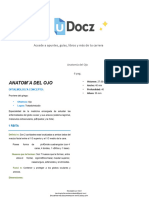 Anatomia Del Ojo 247613 Downloadable 3163502