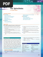 The Spirochetes