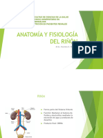 Anatomia y Fisiologia Del Rinon