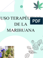 Uso Terapéutico de La Marihuana