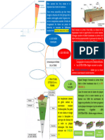 Carte Mentale Dynamique Interne de La Terre