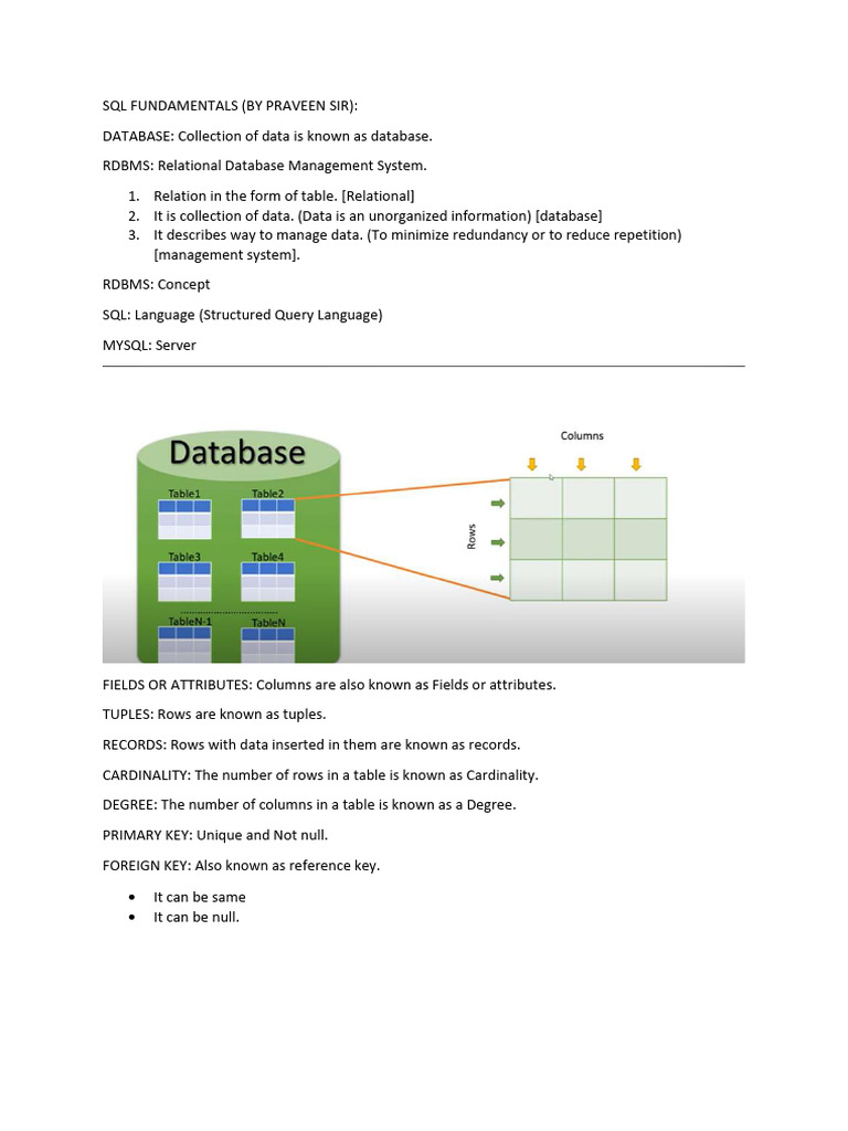 SQL Fundamentals | PDF | Relational Database | Table (Database)
