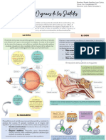Biologia. Organos de Los Sentidos.