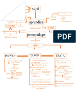 Mapa Conceptual - Final