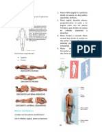 Conceptos Básicos Anatomía