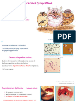 Clase MICRO UTPl 5.2 BACILOS Grampositivos Aa22 PDF