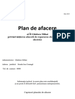 Model Plan de Afacere Nou