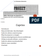 Proiect Ana