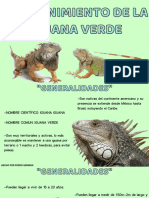 Mantenimiento de La Iguana Verde