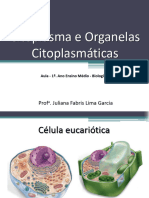 Citoplasma e Organelas - Teoria