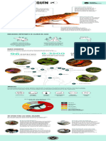 Harlequin Toads Infographic Spanish Version