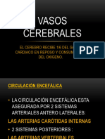 2022 - Vascularizacion Del Encefalo