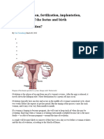 S.A. U2 - 5. Discuss Ovulation, Fertilization, Implantation, Development of The Foetus and Birth