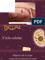 Ciclo Celular (Mitosis y Meiosis)