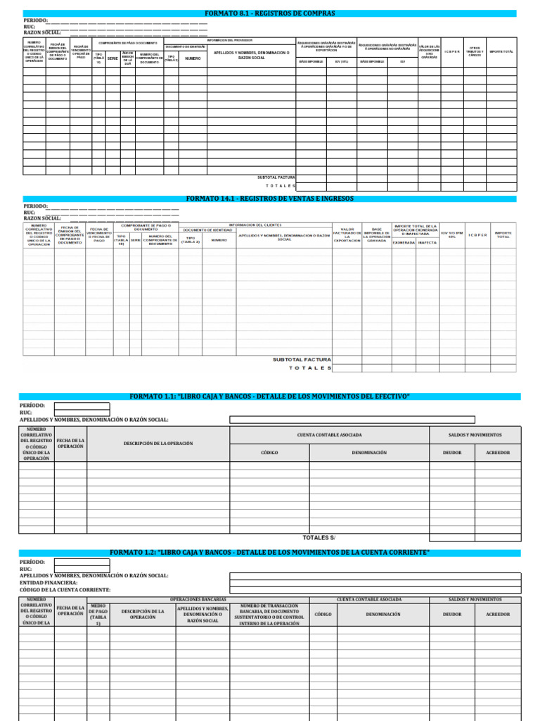 Formatos de Cuentas Contables | PDF | Contabilidad | Compartir (Finanzas)