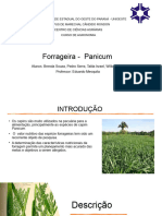 Seminário Forragicultura