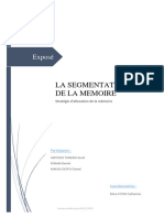 Expose Sur La Segmentation