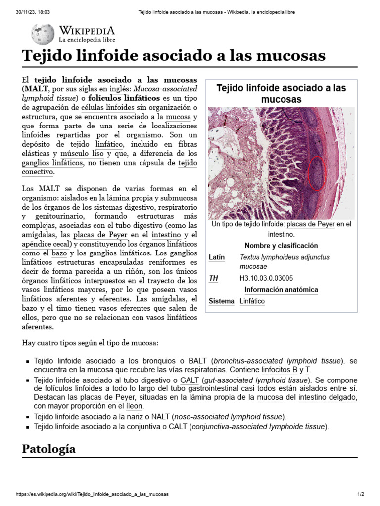 Tejido Linfoide Asociado A Las Mucosas PDF Especialidades Medicas Anatomía humana