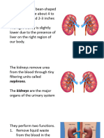 Kidney Functions