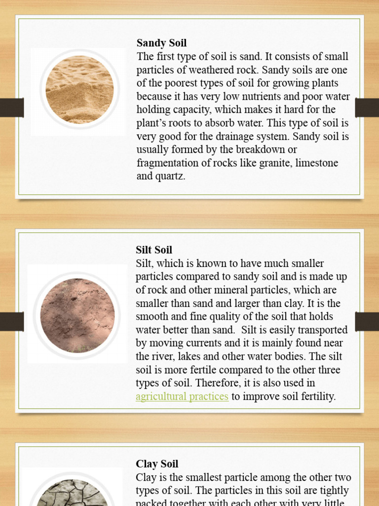 Characteristics of Sandy Soil | PDF | Home & Garden | Science & Mathematics