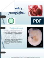 Fisiologia Fetal 2