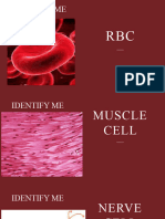 Cell Types