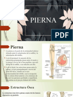 Pierna (618-633)