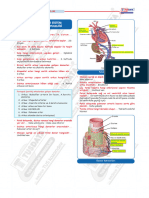 08 Kardiyovaskuler Sistem Histolojisi Ve Fizyolojisi