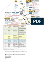 04.6 Farmacología Arritmias Cardiacas Anexo 1