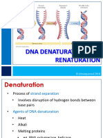 BIO101 Lec 04-DNA Denaturation and Renaturation