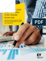 Ey 2304 4243397 Key Changes To The Iia Standards Thought Leadership Final