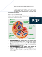 Gambar Sel Hewan Dan Sel Tumbuhan Beserta Bagian