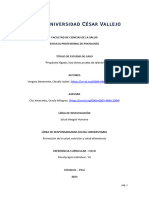 Informe Final - Psicoterapia Individual