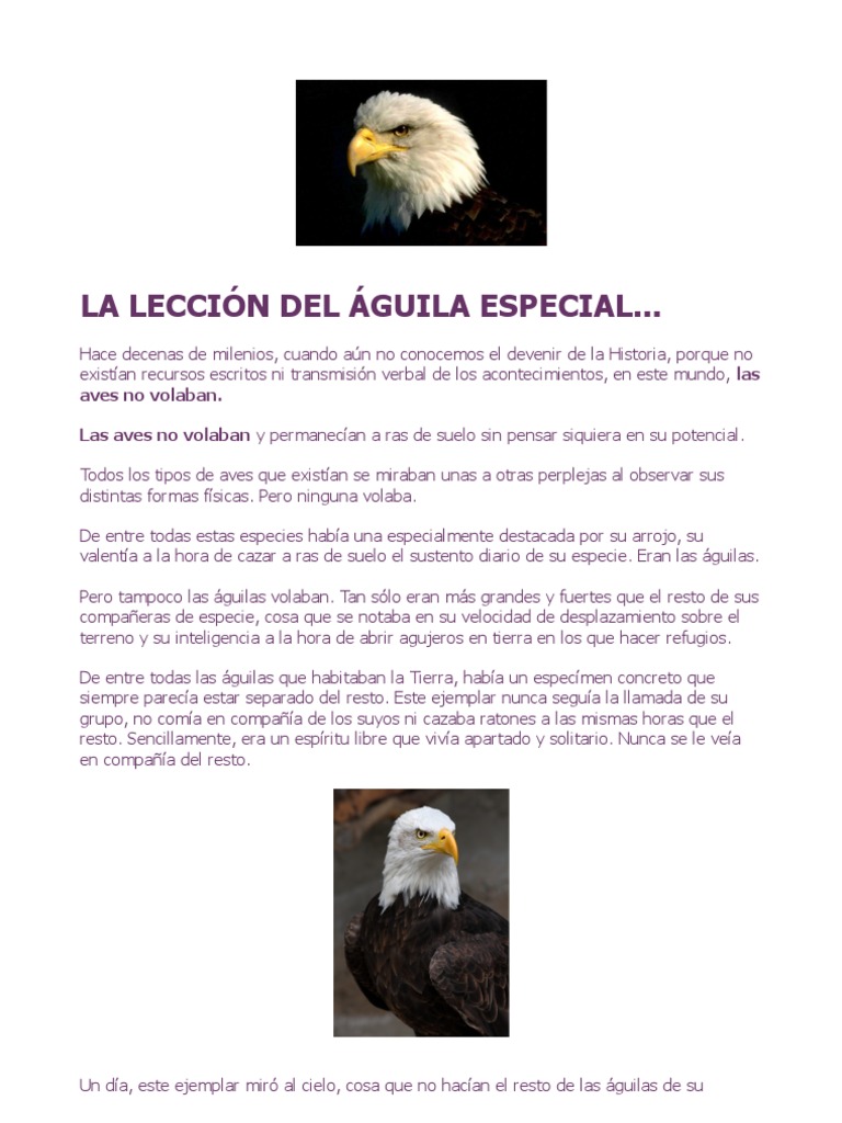 La Lección Del Águila Especial | PDF | Aves | Naturaleza