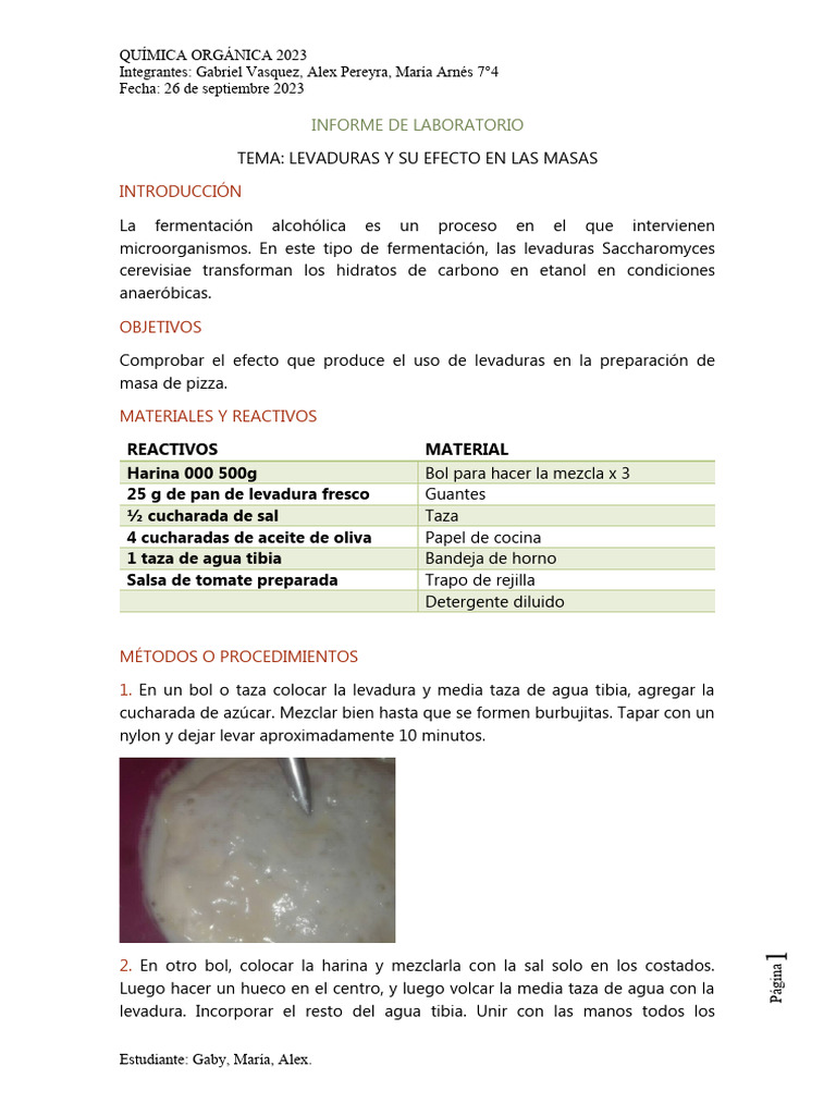 7°4 Protoco de Elaboracion de Pizzas | PDF | Levadura | Panes