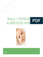 Etapas de La Alimentacion Infantil