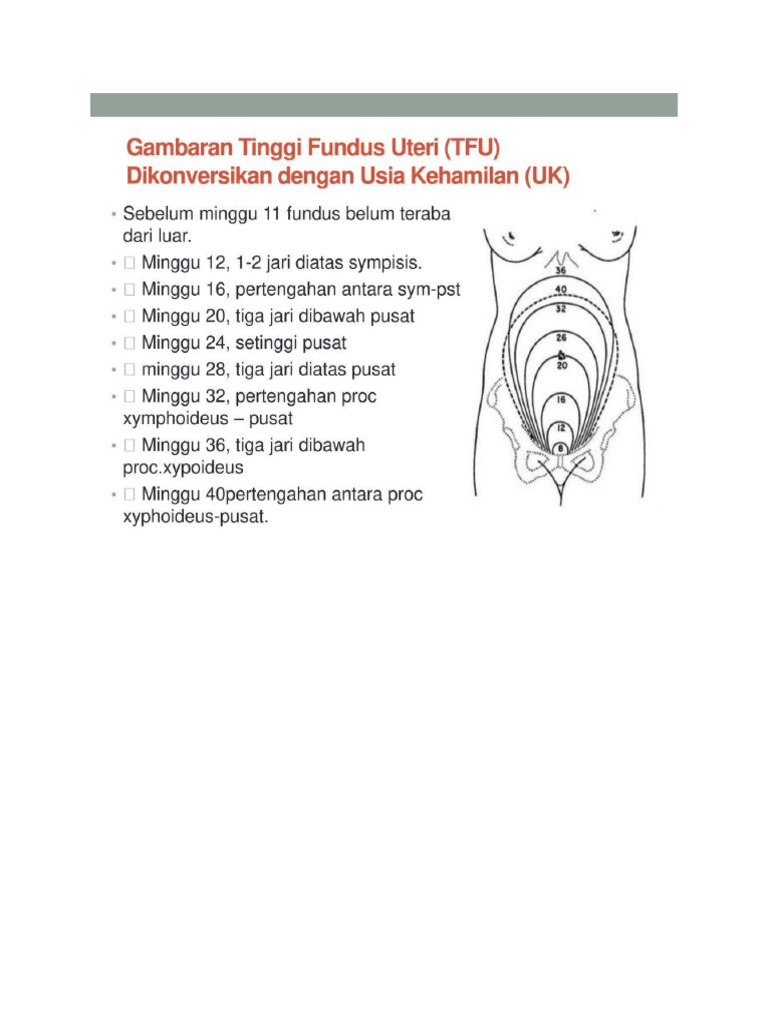 Uk Tfu PDF