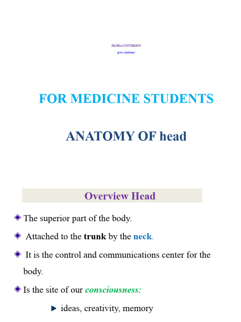 Head | PDF | Skull | Human Nose