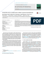 E Coli As A Model Active Colloid