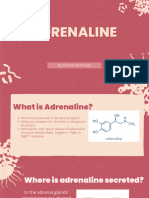 Adrenaline Presentation