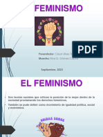 Feminismo Nuevo