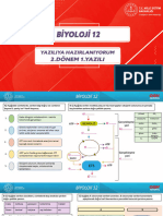 12.sinif Biyoloji 2.donem 1.yazili Sorulari