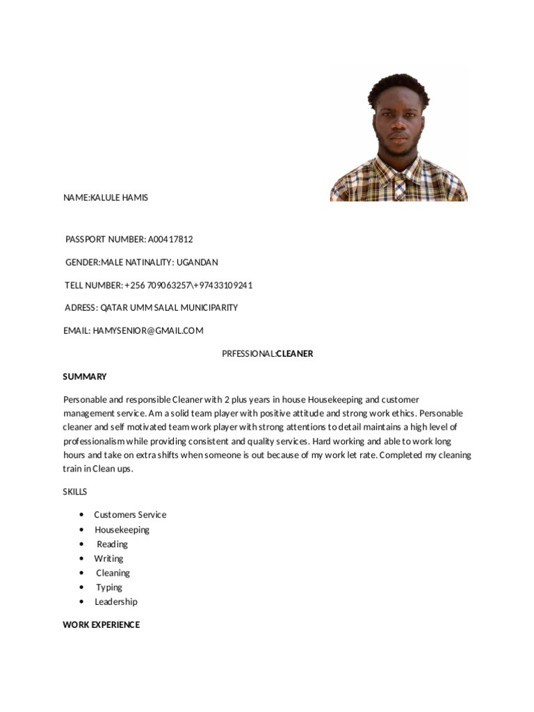 SAMPLE CV FOR CLEANING JOB PDF visual data 7