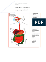 Sistem Pencernaan
