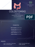 Exposicion de Colostomia