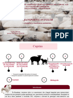 Buzec (Tanu) Iuliana - Transportul ovinelor - proiect Zooigiena