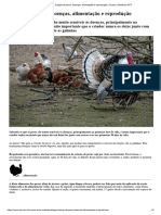 Criação de Perus - Doenças, Alimentação e Reprodução - Cursos A Distância CPT