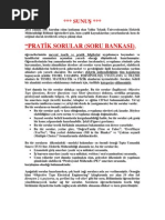 Download pratik sorular by Erk Dursun SN68885560 doc pdf
