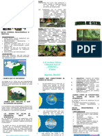 Trabajo - Bioma de Selva en Vzla Triptico - Daniel Aquino